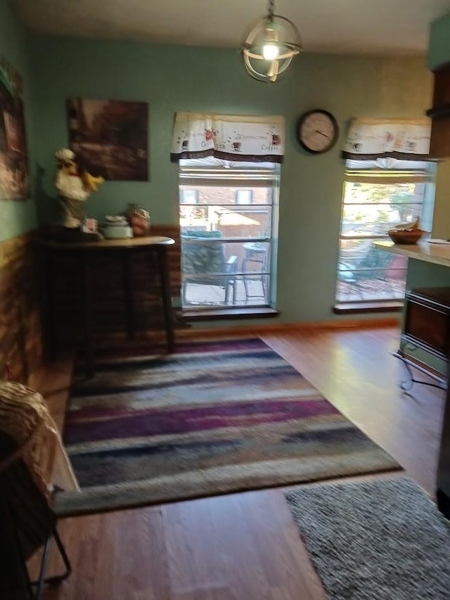 dining area featuring hardwood / wood-style floors