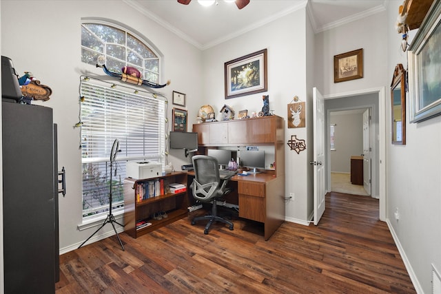 office area featuring ceiling fan, dark hardwood / wood-style flooring, and crown molding