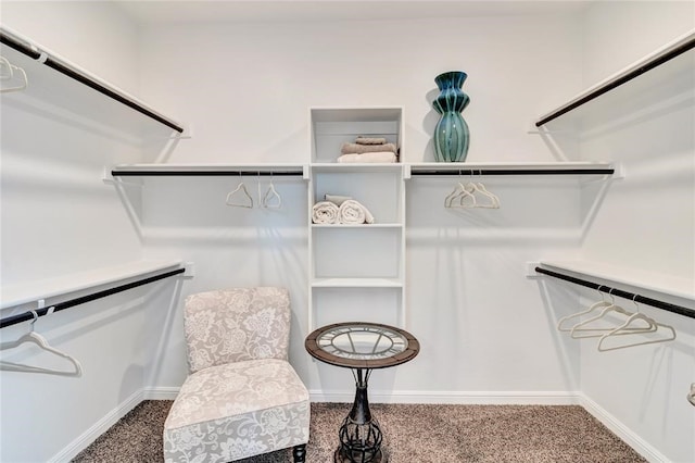 spacious closet featuring carpet