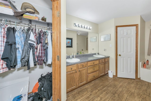 bathroom featuring wood-type flooring and vanity