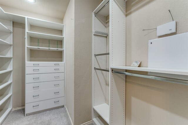 walk in closet featuring light colored carpet