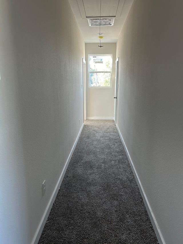 hall featuring carpet floors