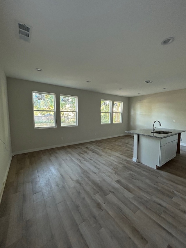 interior space with light hardwood / wood-style floors, sink, and a healthy amount of sunlight