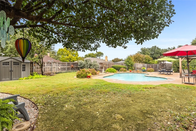 view of pool with a storage shed, a yard, and a patio area