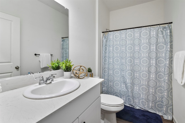 bathroom with toilet and vanity