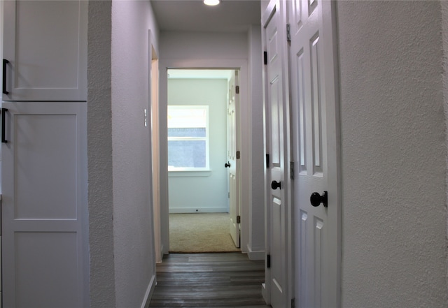 hall with dark wood-type flooring