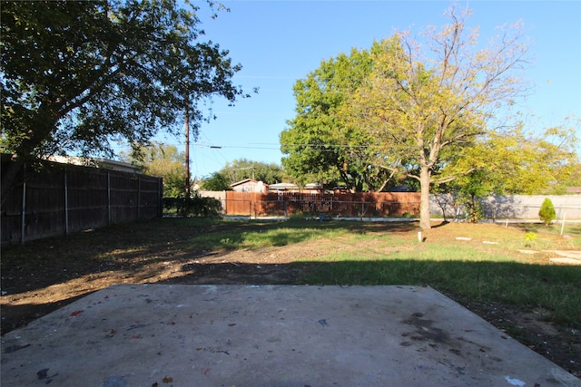 view of yard featuring a patio