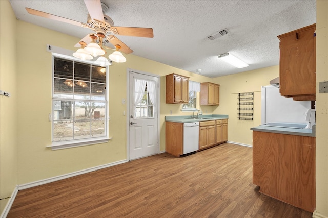 kitchen featuring light hardwood / wood-style floors, white dishwasher, a textured ceiling, sink, and ceiling fan