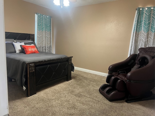 bedroom featuring carpet