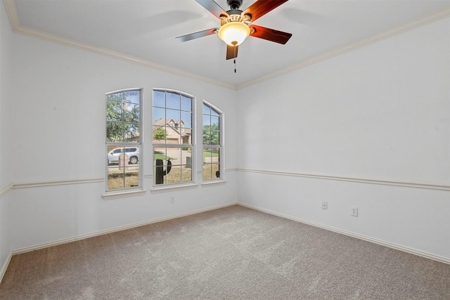 carpeted spare room with ceiling fan and ornamental molding