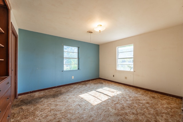 unfurnished room with carpet floors and a healthy amount of sunlight