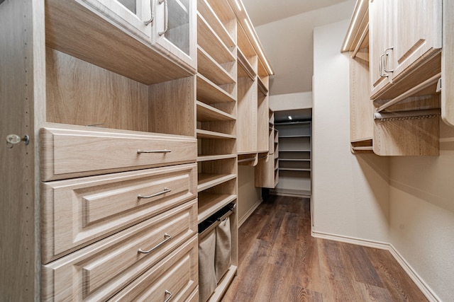 walk in closet featuring dark wood-type flooring