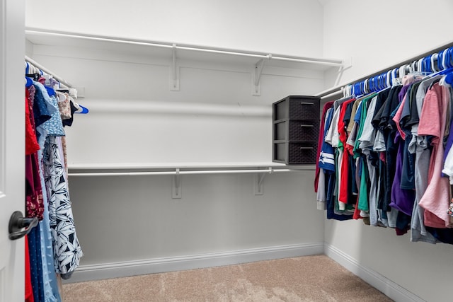 walk in closet with carpet floors