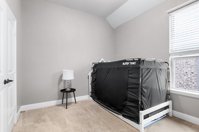 bedroom with carpet and lofted ceiling