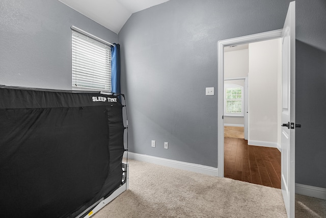 exercise room with hardwood / wood-style floors and lofted ceiling