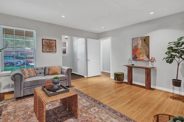 living room with hardwood / wood-style flooring