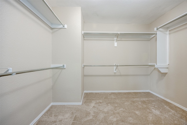 spacious closet featuring light carpet