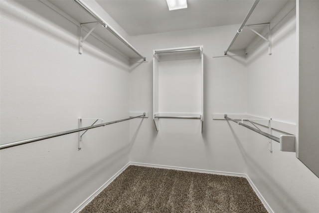 walk in closet with dark carpet