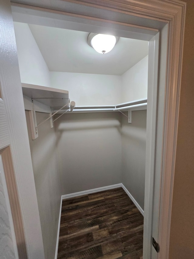 walk in closet featuring dark wood-type flooring