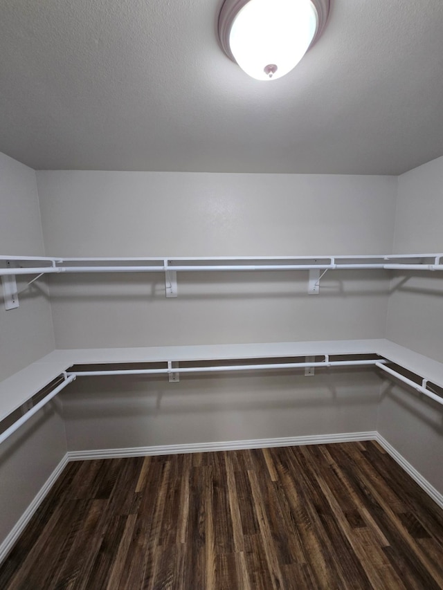 spacious closet with dark hardwood / wood-style floors