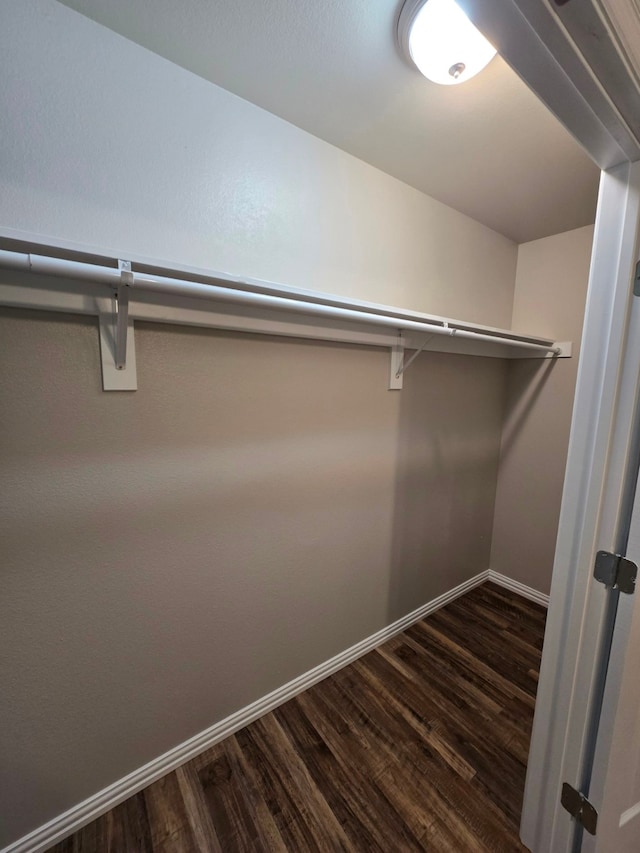 walk in closet with dark wood-type flooring