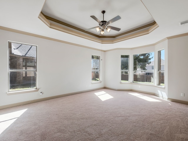 carpeted spare room featuring ornamental molding, a healthy amount of sunlight, and a raised ceiling