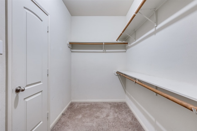 walk in closet with light carpet