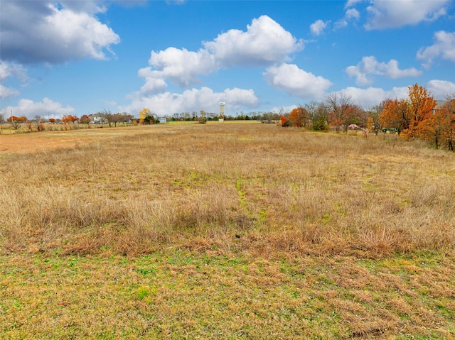 view of local wilderness featuring a rural view