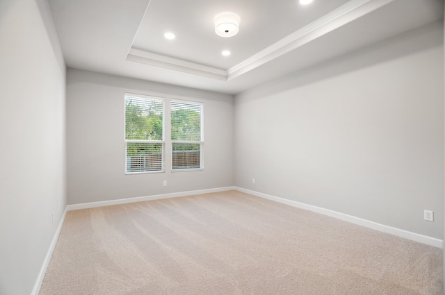 spare room featuring light carpet and a tray ceiling