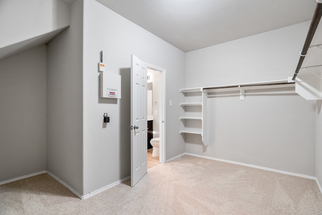 spacious closet featuring light colored carpet