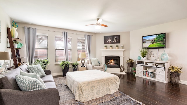 living room featuring ceiling fan and dark hardwood / wood-style floors