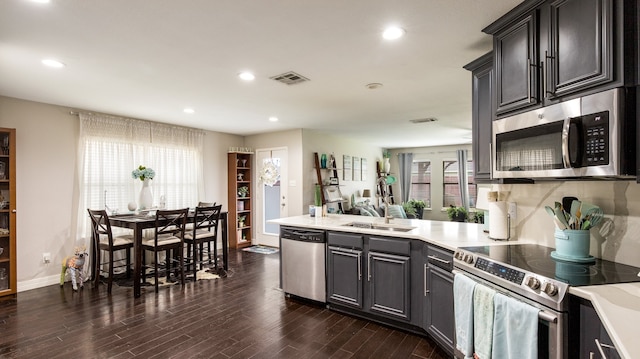 kitchen with appliances with stainless steel finishes, sink, and dark hardwood / wood-style floors