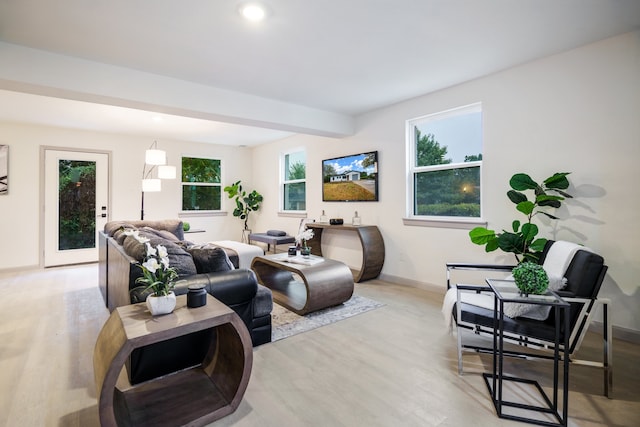 living room with light wood-type flooring