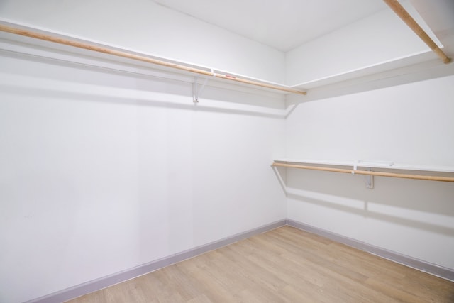 walk in closet featuring wood-type flooring