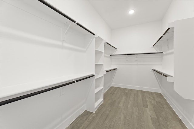 spacious closet featuring light hardwood / wood-style floors