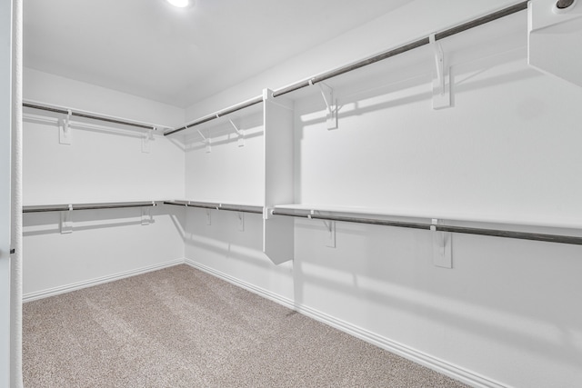 spacious closet featuring carpet floors