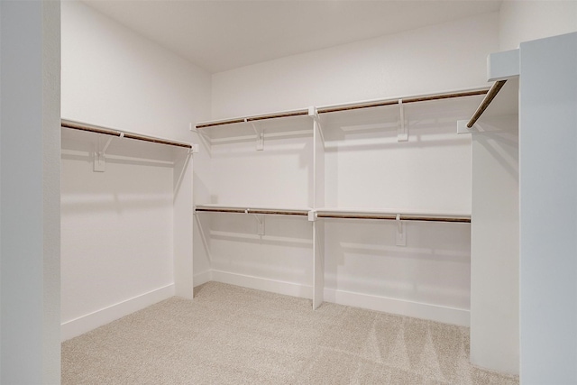 walk in closet with light carpet