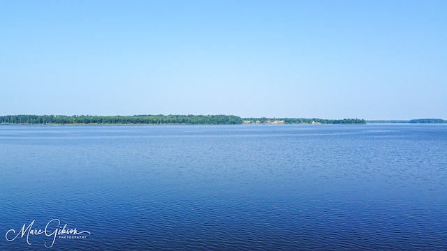 view of water feature