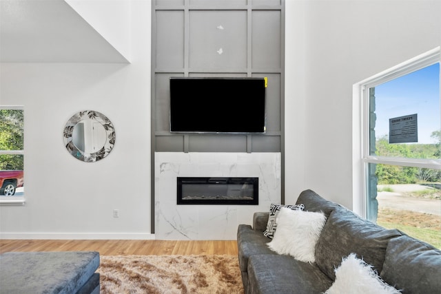 living room featuring a premium fireplace and wood-type flooring