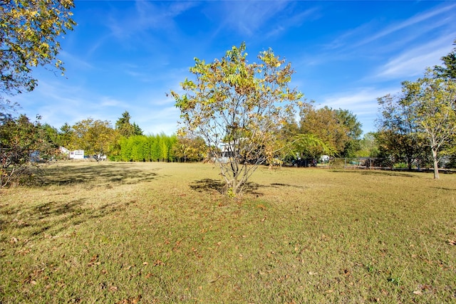 Listing photo 2 for TBD Fisherman Rd, Pottsboro TX 75076