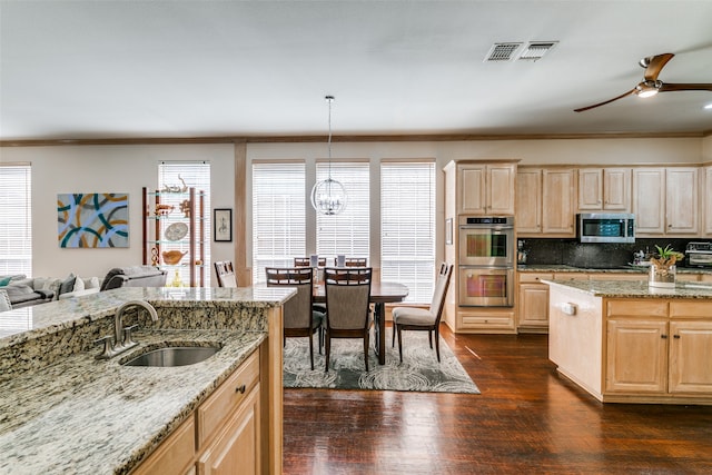 kitchen featuring stainless steel appliances, a wealth of natural light, sink, and dark hardwood / wood-style flooring