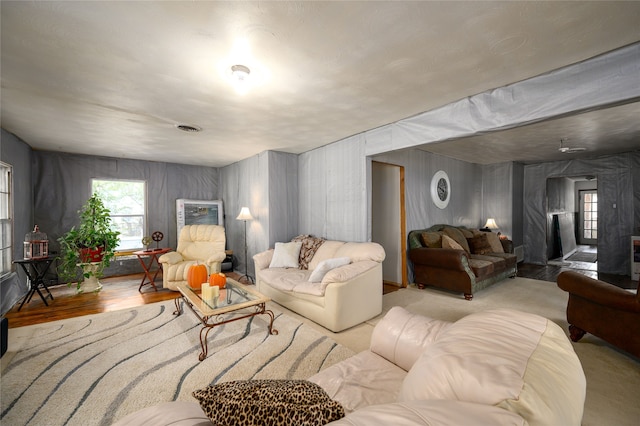 living room featuring light hardwood / wood-style floors