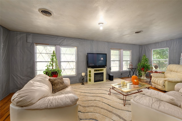 living room with wood-type flooring, a healthy amount of sunlight, and a textured ceiling