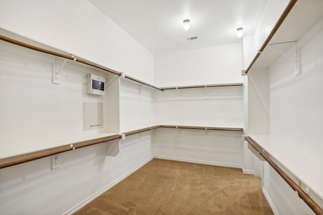 walk in closet featuring light colored carpet