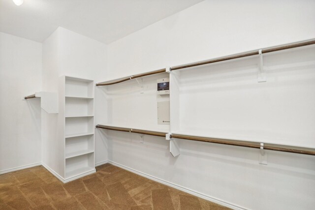 spacious closet with carpet