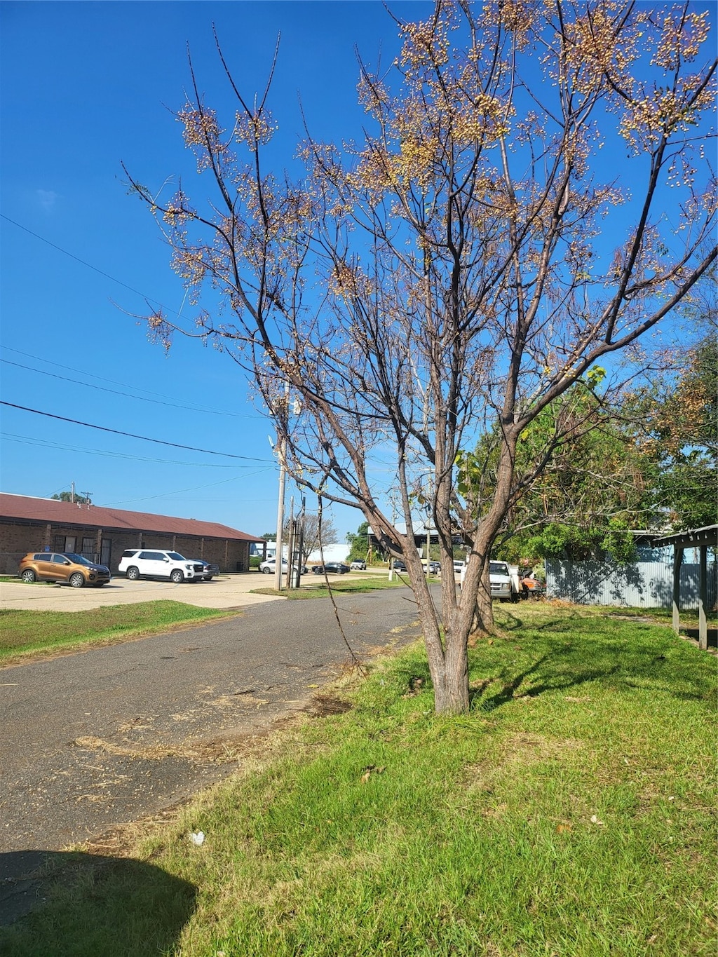 view of road