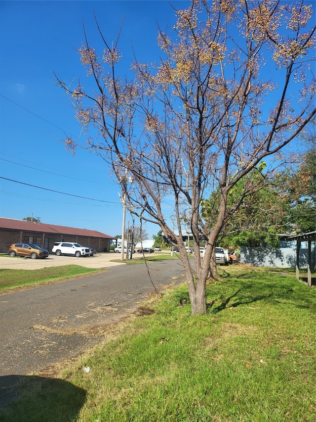 view of road