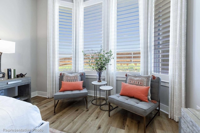 living area featuring light hardwood / wood-style floors