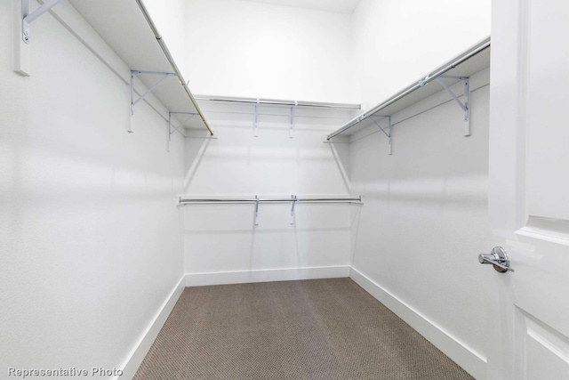 walk in closet featuring carpet flooring