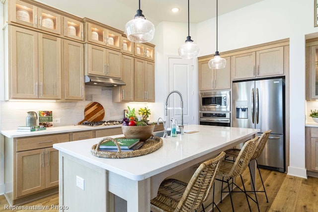 kitchen with stainless steel appliances, light hardwood / wood-style floors, decorative backsplash, sink, and an island with sink